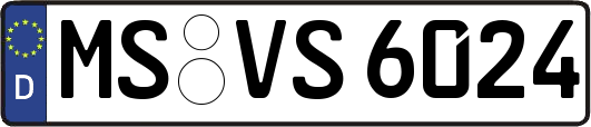 MS-VS6024