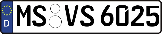 MS-VS6025