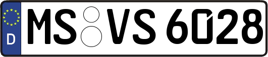MS-VS6028