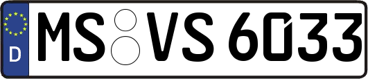 MS-VS6033