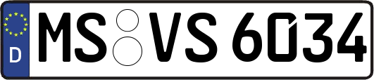 MS-VS6034