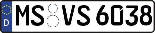 MS-VS6038