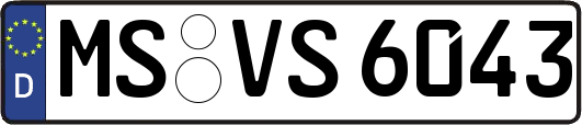 MS-VS6043