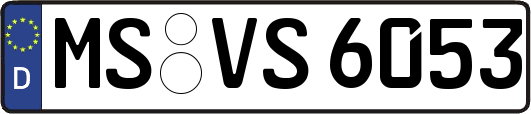 MS-VS6053