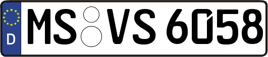 MS-VS6058