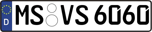 MS-VS6060