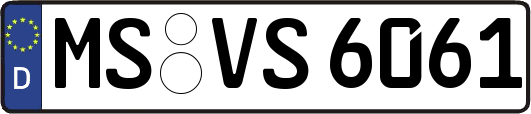 MS-VS6061