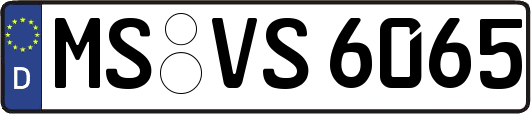 MS-VS6065