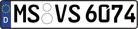 MS-VS6074