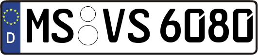 MS-VS6080
