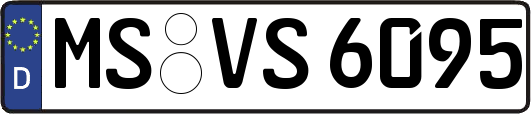 MS-VS6095