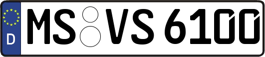 MS-VS6100