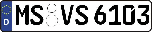MS-VS6103