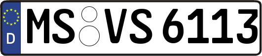 MS-VS6113