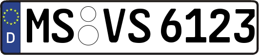 MS-VS6123