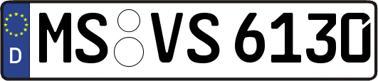 MS-VS6130