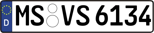 MS-VS6134