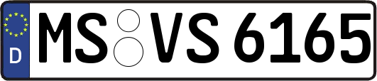 MS-VS6165