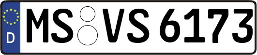 MS-VS6173