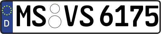 MS-VS6175