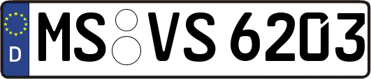 MS-VS6203