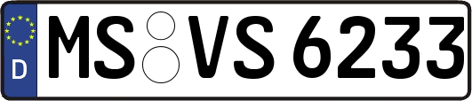 MS-VS6233