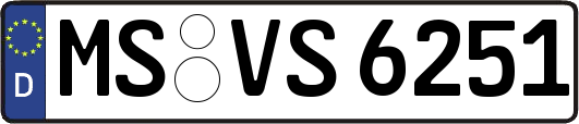 MS-VS6251