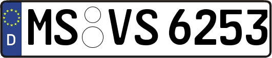 MS-VS6253