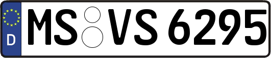MS-VS6295