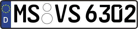 MS-VS6302