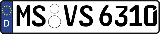 MS-VS6310