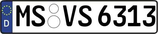 MS-VS6313