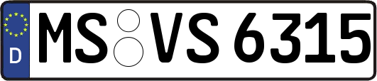 MS-VS6315