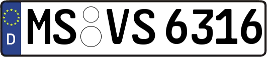 MS-VS6316