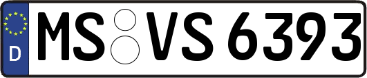 MS-VS6393