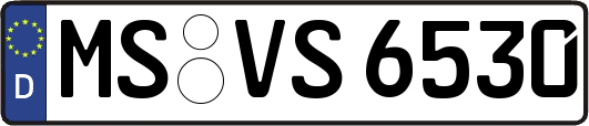 MS-VS6530