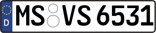 MS-VS6531