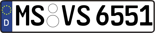 MS-VS6551