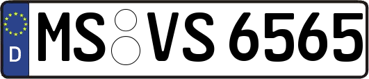 MS-VS6565