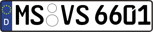 MS-VS6601