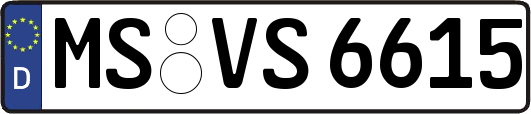 MS-VS6615