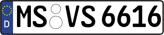 MS-VS6616