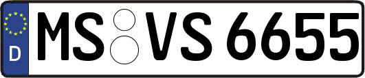 MS-VS6655