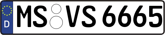 MS-VS6665
