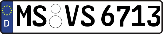 MS-VS6713