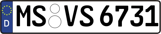 MS-VS6731