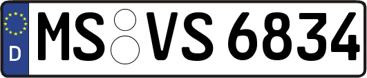 MS-VS6834