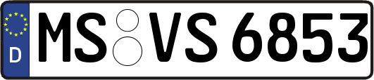 MS-VS6853