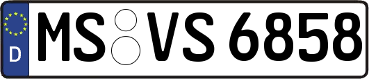 MS-VS6858