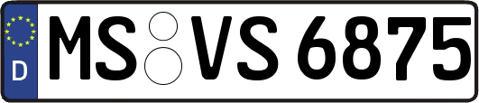 MS-VS6875